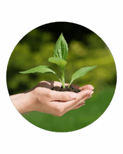 inoculantes adjuvantes biológios cadena-agro