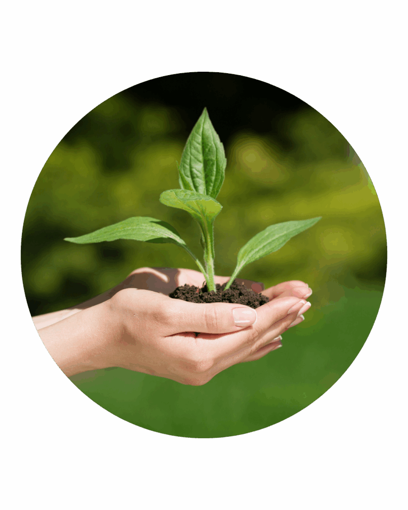 inoculantes adjuvantes biológios cadena-agro