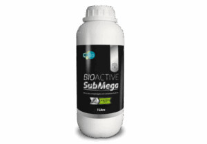 submega 1