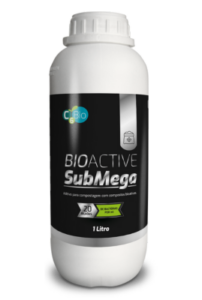 submega 1