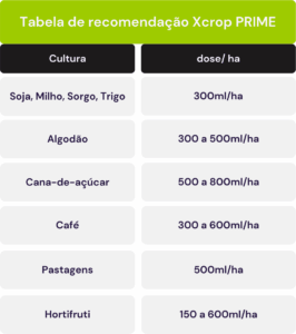 folder prime cadena-agro
