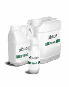 xrop prime