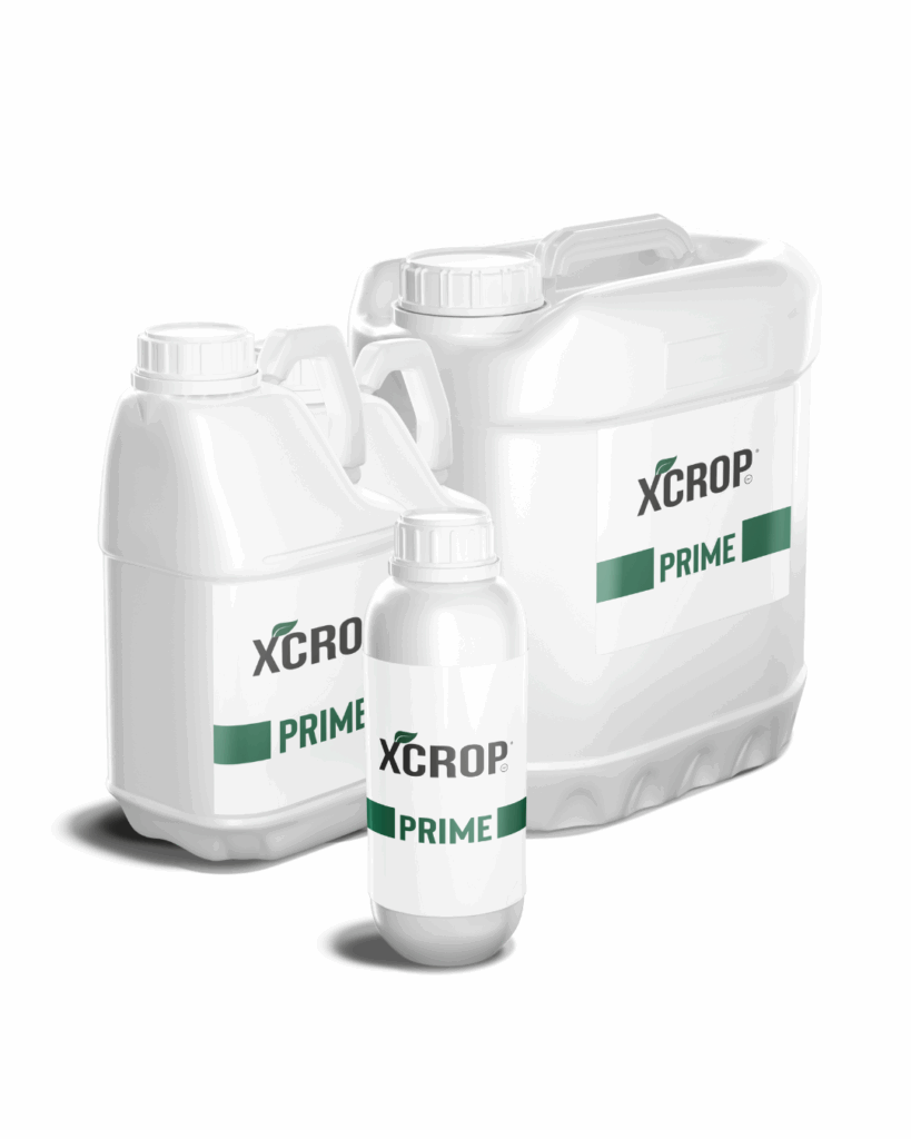 xrop prime cadena-agro