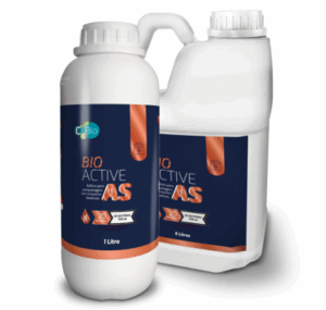 bioactive as produtos cadena agro
