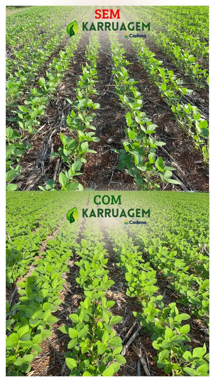 Ensaio com KARROAGEM - CADENA AGRO