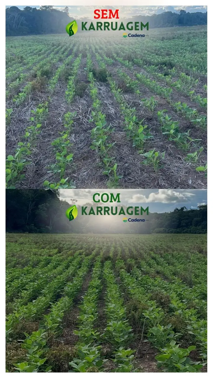 Ensaio com KARROAGEM - CADENA AGRO