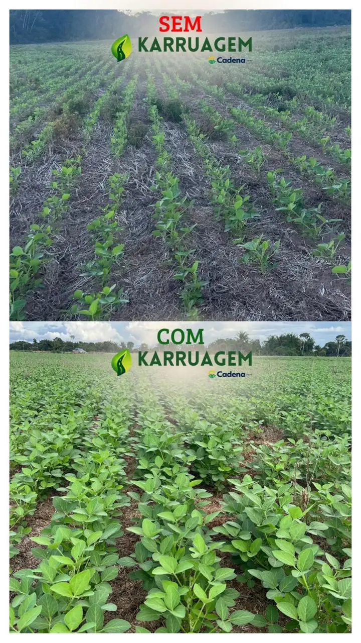 Ensaio com KARROAGEM - CADENA AGRO