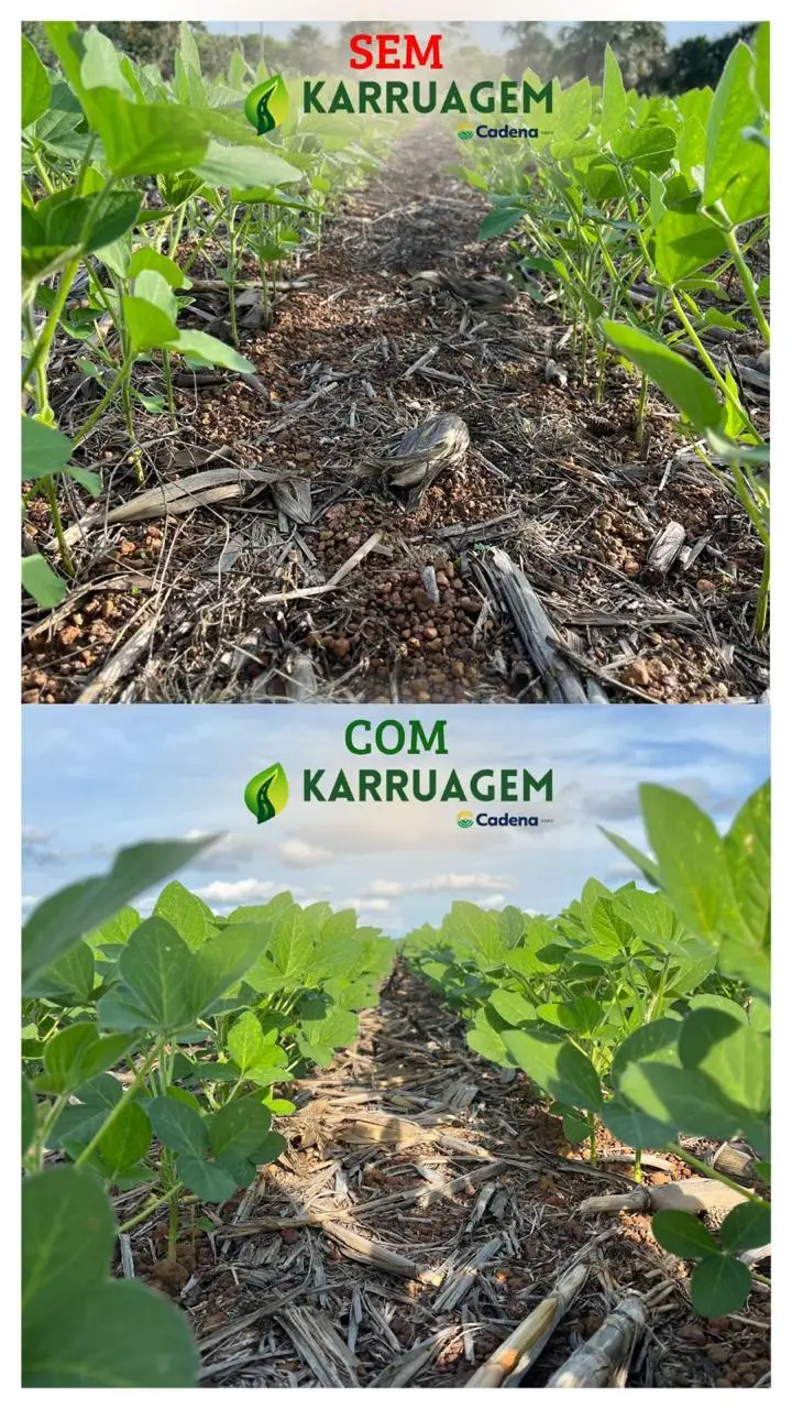 Ensaio com KARROAGEM - CADENA AGRO